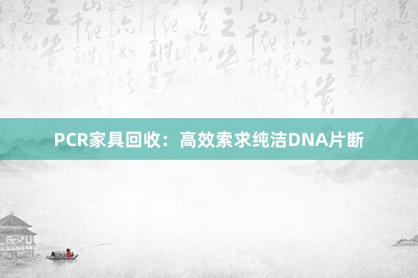 PCR家具回收：高效索求纯洁DNA片断